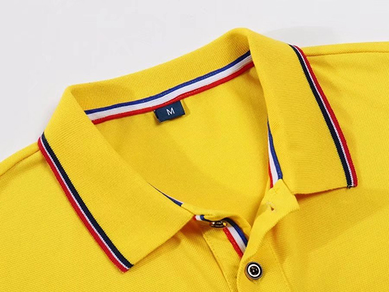 TX0184间色条翻领(pic3)